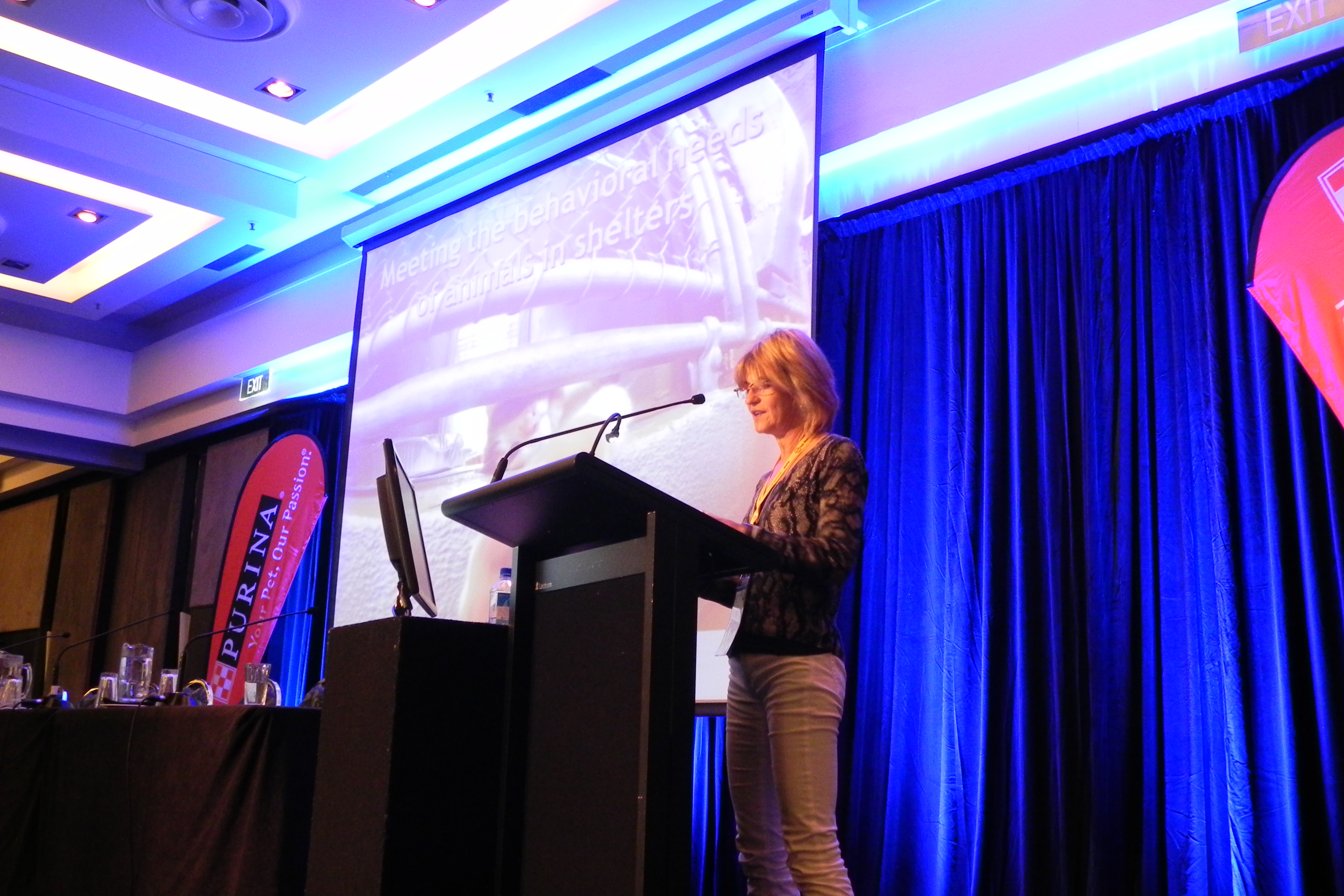 Dr Pamela Reid