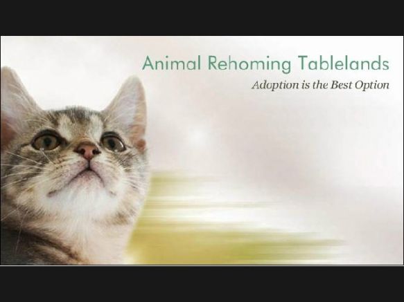 Animal Rehoming Tablelands