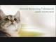 Animal Rehoming Tablelands