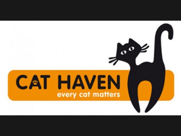 Cat Haven