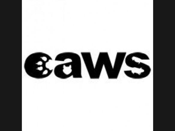 Companion Animal Welfare Society Inc.