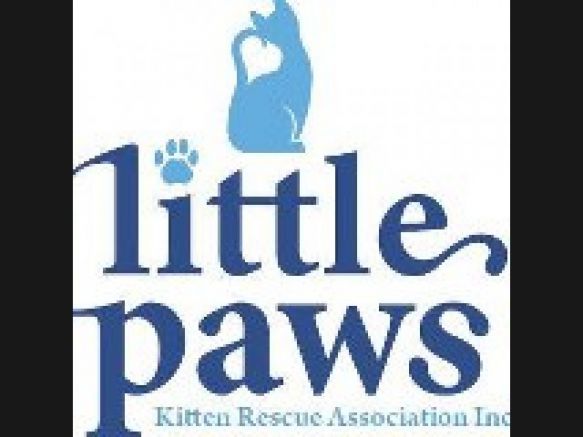 Little Paws Kitten Rescue
