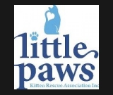 Little Paws Kitten Rescue