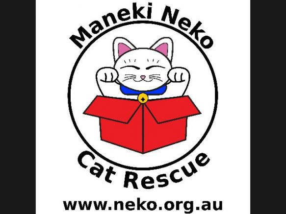 Maneki Neko Cat Rescue 