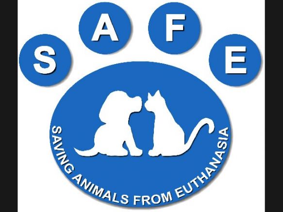 Saving Animals From Euthanasia Inc. (S.A.F.E)