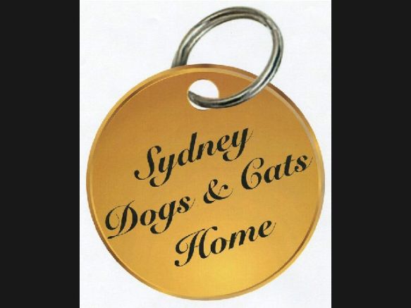 Sydney Dogs and Cats Home